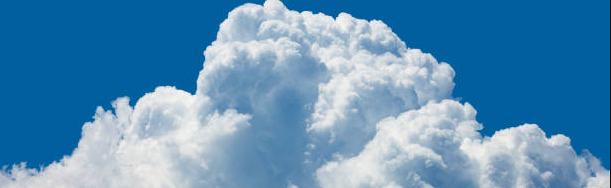 elise planet Discord Server Banner