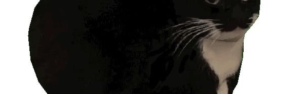 𖤐˚• bluu’s catzᯓ Discord Server Banner