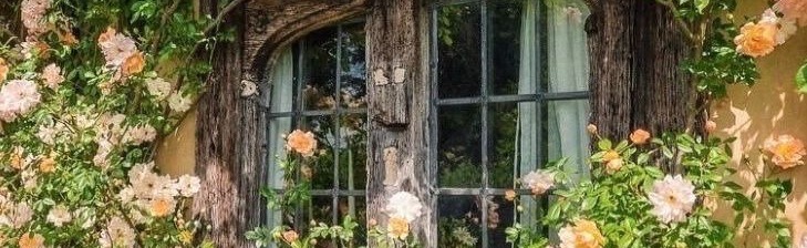 Eve's Garden Discord Server Banner