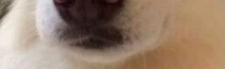 Capitán Sandia Discord Server Banner