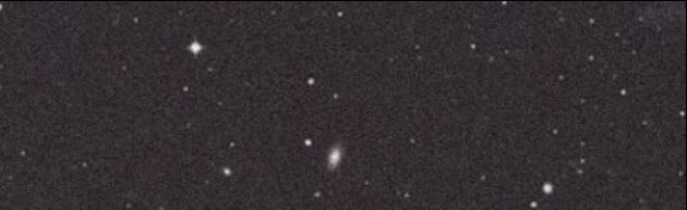 DoingFreeTribs Discord Server Banner