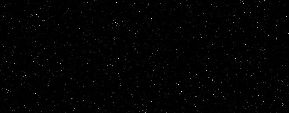 Wonderland Discord Server Banner