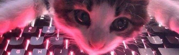 Divine Gore Discord Server Banner