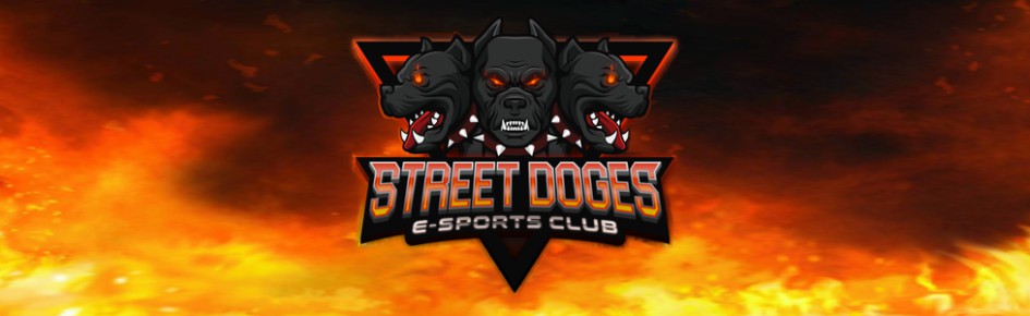 ✩ StreetDoges ✩ E-Sports Club Discord Server Banner