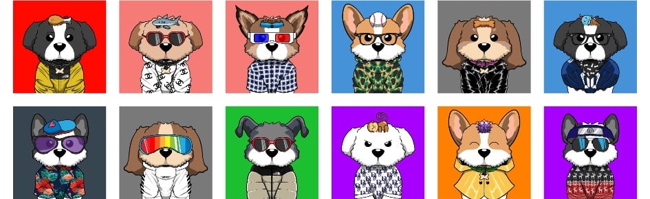 Dr. Sniffy NFT Discord Server Banner