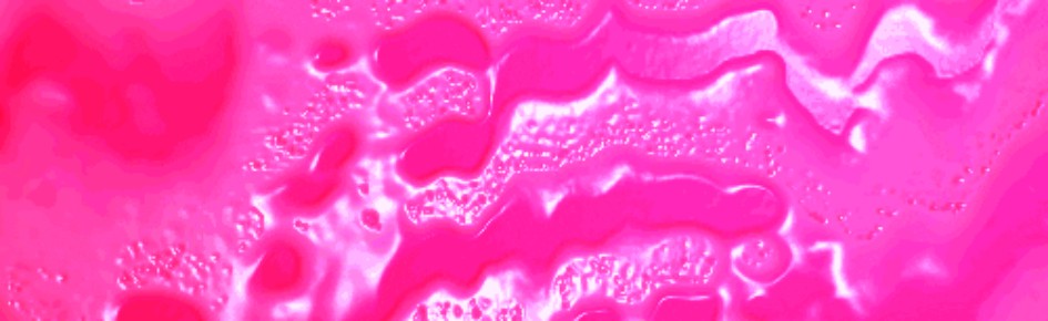 bloo Discord Server Banner