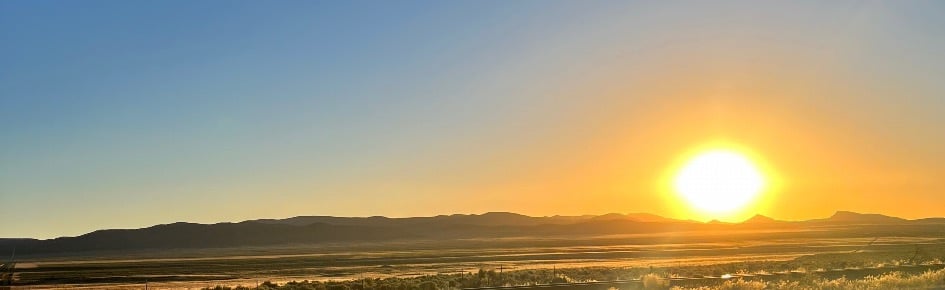 Cunning Folk's Grove Discord Server Banner