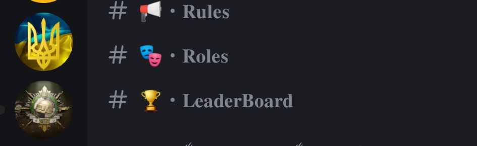 Pubg UKR Discord Server Banner