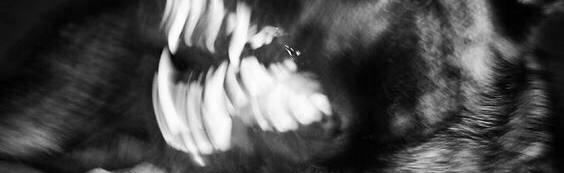 PR-ES Discord Server Banner