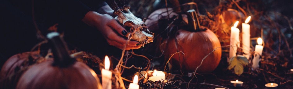 ? Ƥ?????????? ? Discord Server Banner