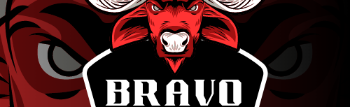 BRAVO RP Discord Server Banner