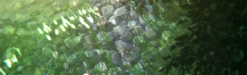 Nowy Eden Discord Server Banner