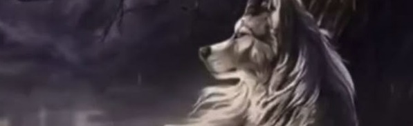 Abysmo🩸 Discord Server Banner