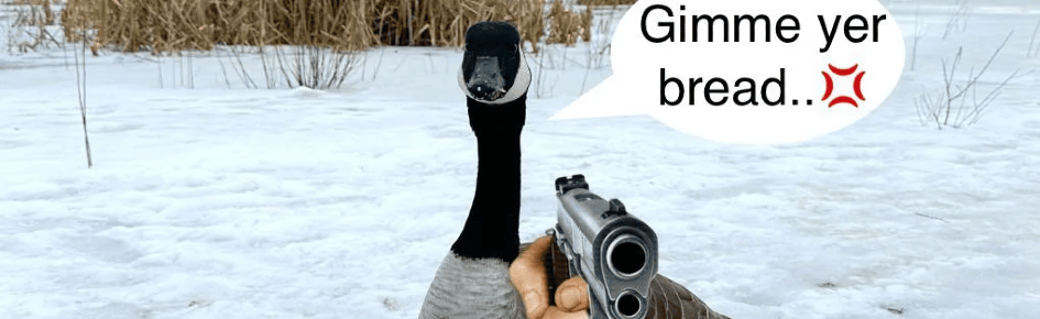 HONK Discord Server Banner