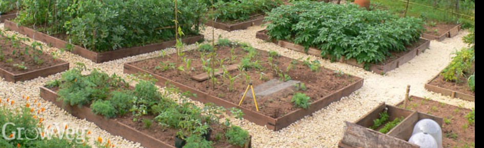 Sustainable Living Discord Server Banner