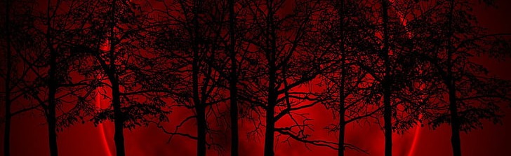 🌹☾⛧Eternal Empress⛧☽🌹 Discord Server Banner