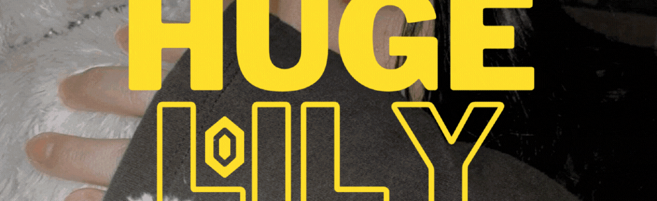 Lily Paradise Discord Server Banner