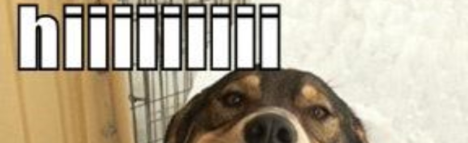 Whoiselijahh Discord Server Banner