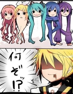 ?Vocaloid Cult - ボーカロイドカールト? Discord Server Banner