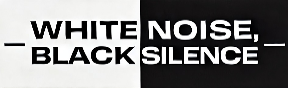 White Noise, Black Silence Discord Server Banner