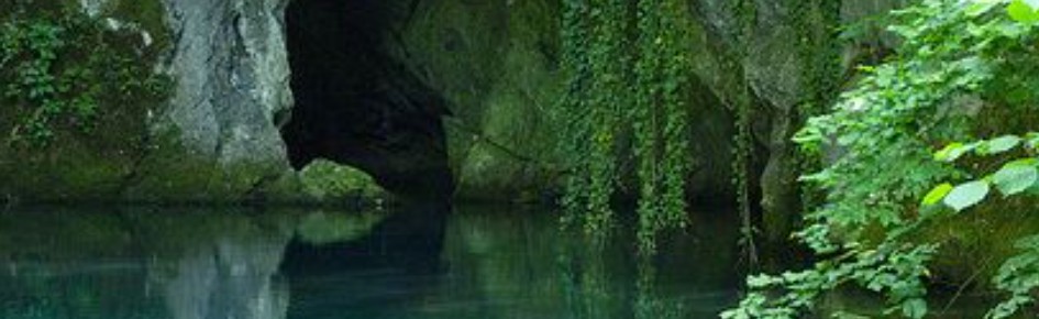 Archdale Discord Server Banner