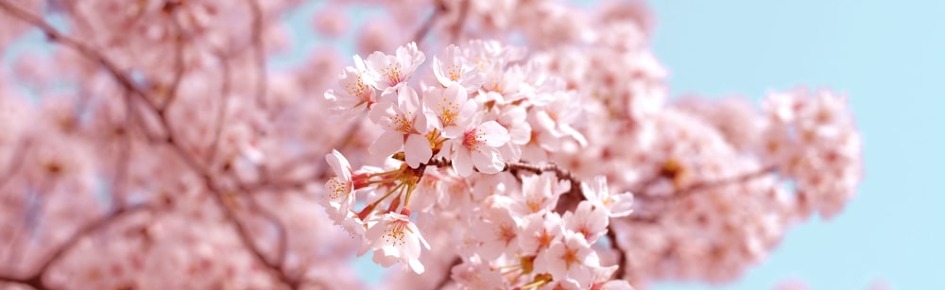 Lofu's Basement ? Discord Server Banner