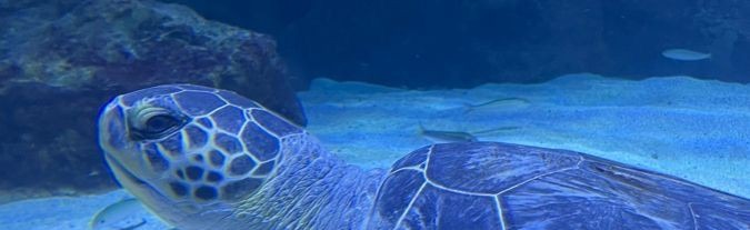 Eclipsa Produções Discord Server Banner