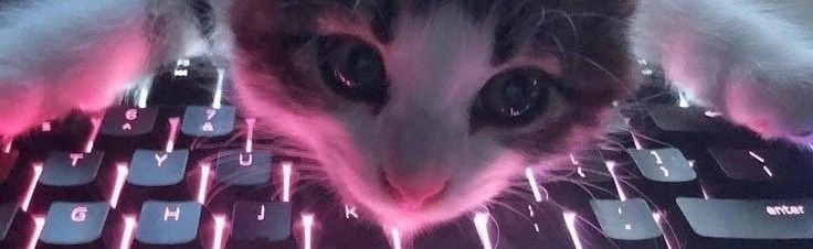 𝕷𝖚𝖍 𝖈𝖆𝖑𝖒 🕷🕸 Discord Server Banner