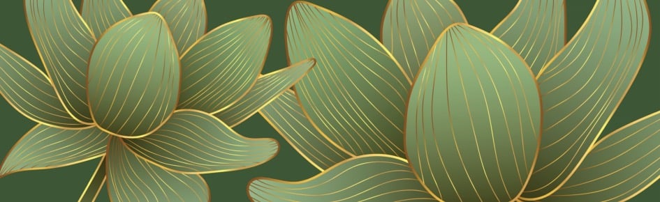 Paradise Lounge Discord Server Banner