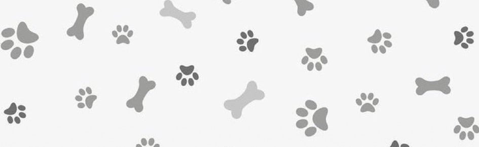 fins cafe Discord Server Banner