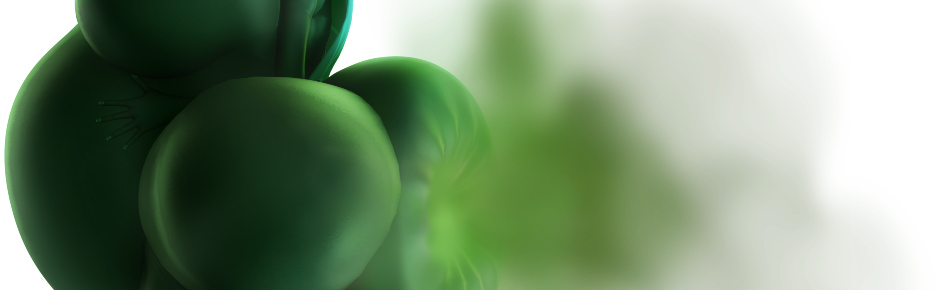 My Personal Tupper Paradise Discord Server Banner