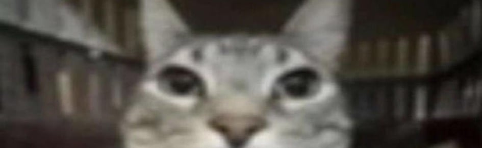 Bunger Town Discord Server Banner