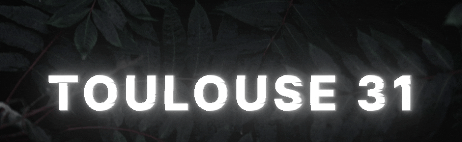 ⌈New !⌋ 🌸 ❘ Toulouse「31」❘ 🌸 Discord Server Banner