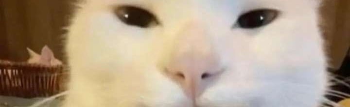 Super Intense Minecraft Players Discord Server Banner