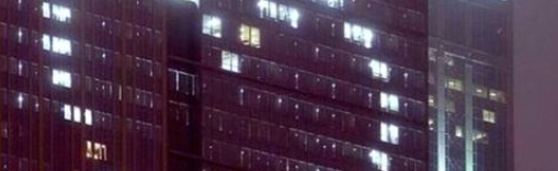 HOMO HANGOUT Discord Server Banner