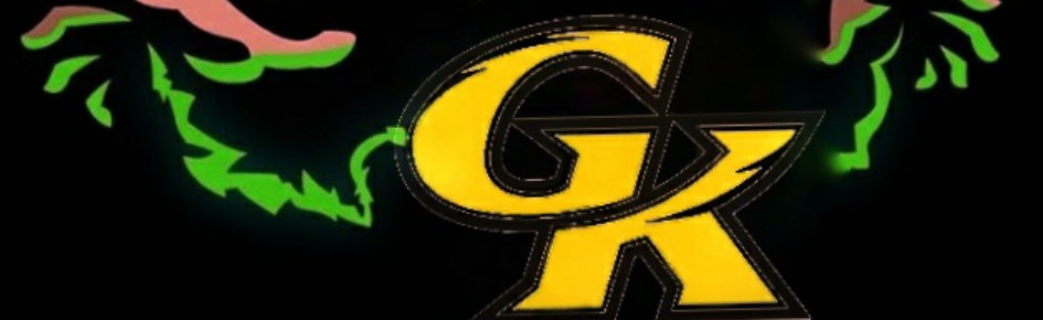 SEL_GO--geetkasyap Discord Server Banner