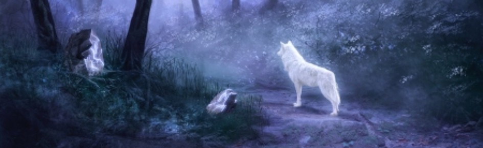 Divergent Zone Discord Server Banner