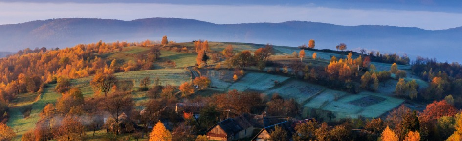 PXMP.Transcarpathia Discord Server Banner