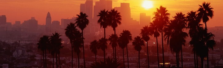 Chillzone Discord Server Banner