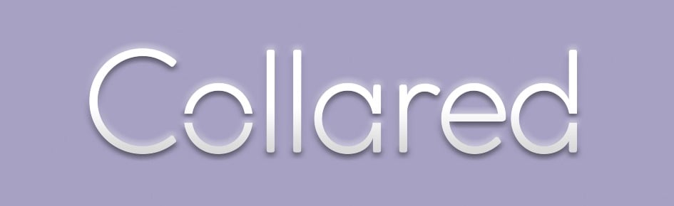 Collared Discord Server Banner