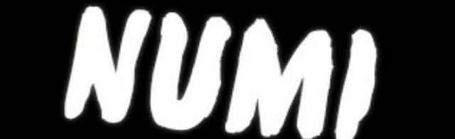 NUMI Community Discord Server Banner