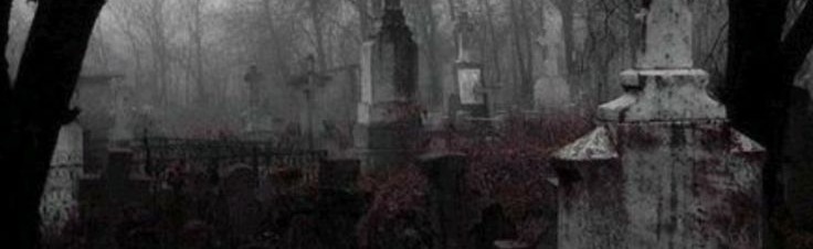 Sekte Discord Server Banner