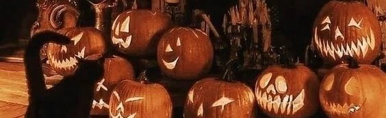 . ˚◞♡ HALLOWEEN HILLS . ⌇ 𓂃 𓈒 Discord Server Banner