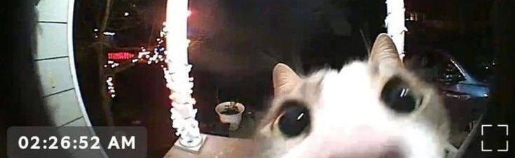 Infinite Playgrounds Discord Server Banner