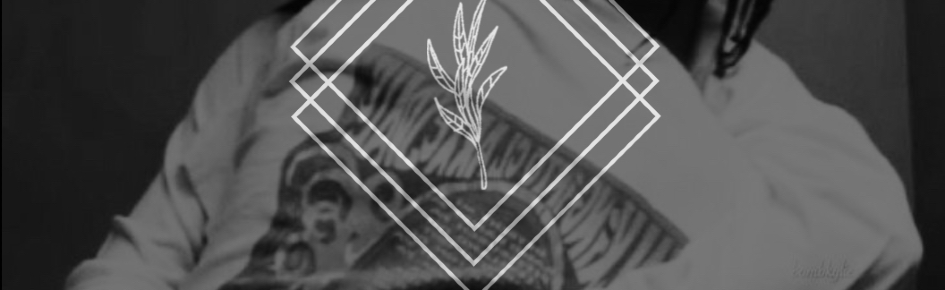 Quarto da MG Discord Server Banner