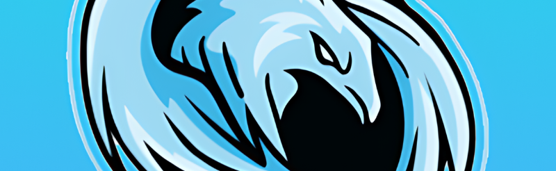 Arctic Esports Discord Server Banner