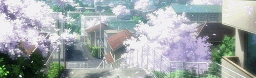 Naosama 💮 Discord Server Banner