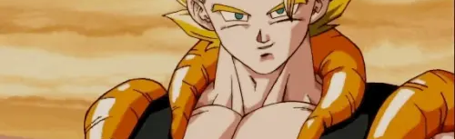 ✨•AnimeFighthing[FR]X Discord Server Banner