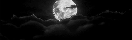 Apollo Discord Server Banner