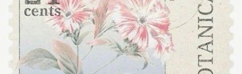 　﹟ 𝒴𝘴𝗈𝗅𝖽𝖾𝗂𝖺     ⭒ Discord Server Banner